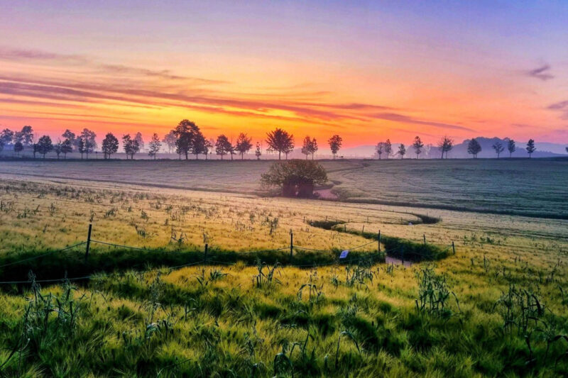 GWの穴場!5月の連休に行きたい国内旅行先5選