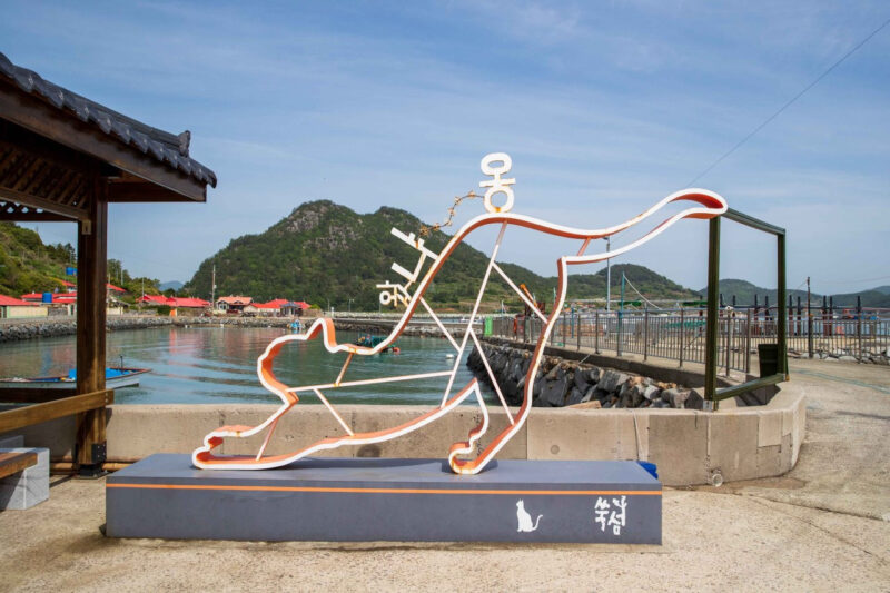 「野良猫に文句を言わないで」飼い主が明かした切実な事情