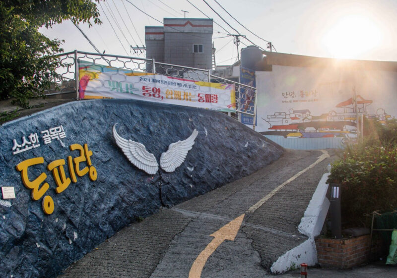 「野良猫に文句を言わないで」飼い主が明かした切実な事情