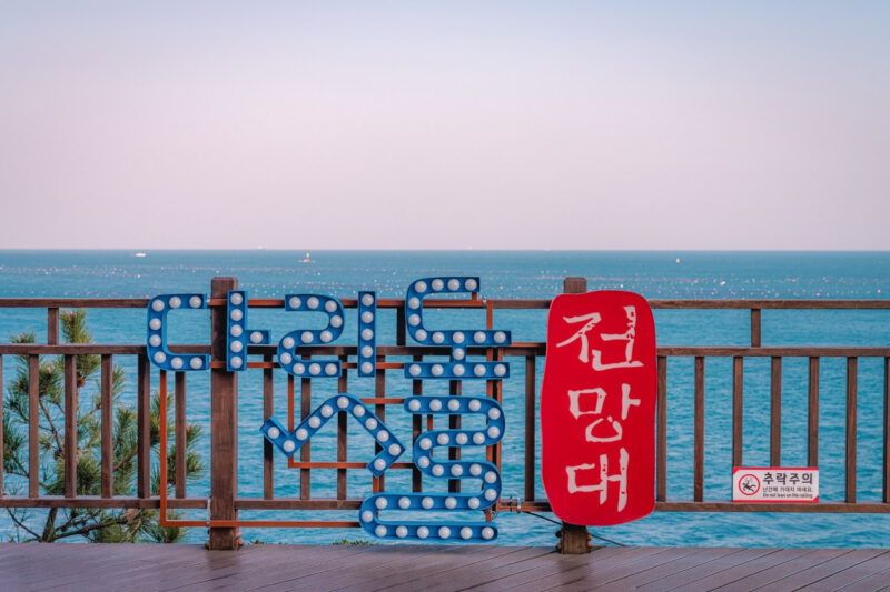 「ここが日本？」絶景すぎる“無料”の東海展望スポットが話題に