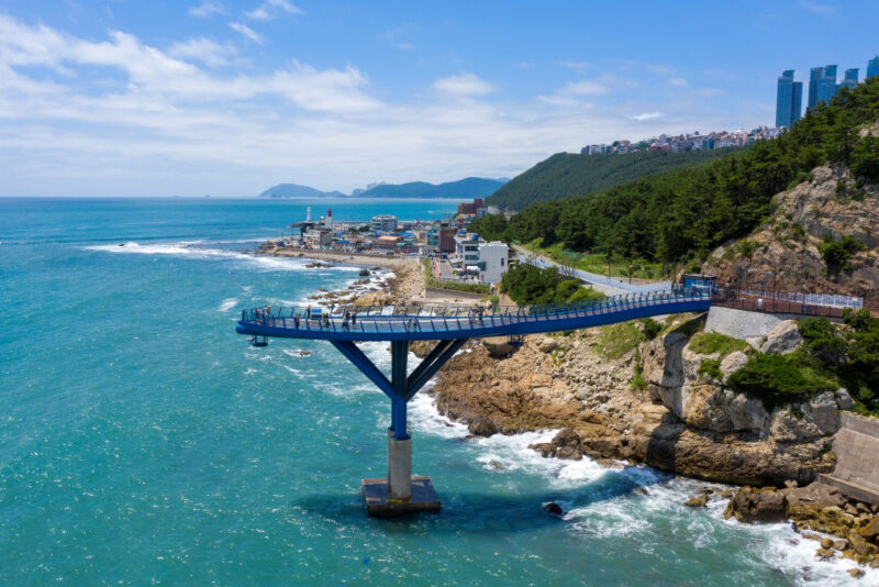 「ここが日本？」絶景すぎる“無料”の東海展望スポットが話題に