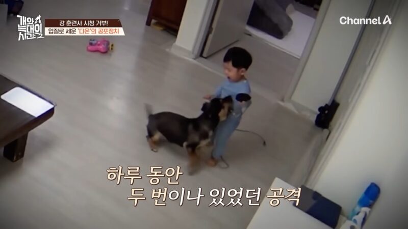 カン・ヒョンウク、今やオオカミも飼いならす…視聴者から「歓声」