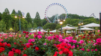 「YouTubeより面白い！」想像力全開、子供の日に行きたいお出かけスポット