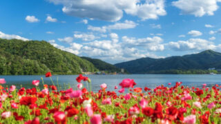 「お小遣いはすぐ消えるけど…親が一年中自慢する「母の日・父の日」最強ギフト」