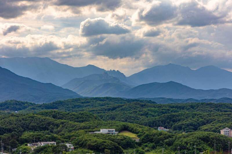 「お小遣いはすぐ消えるけど…親が一年中自慢する「母の日・父の日」最強ギフト」