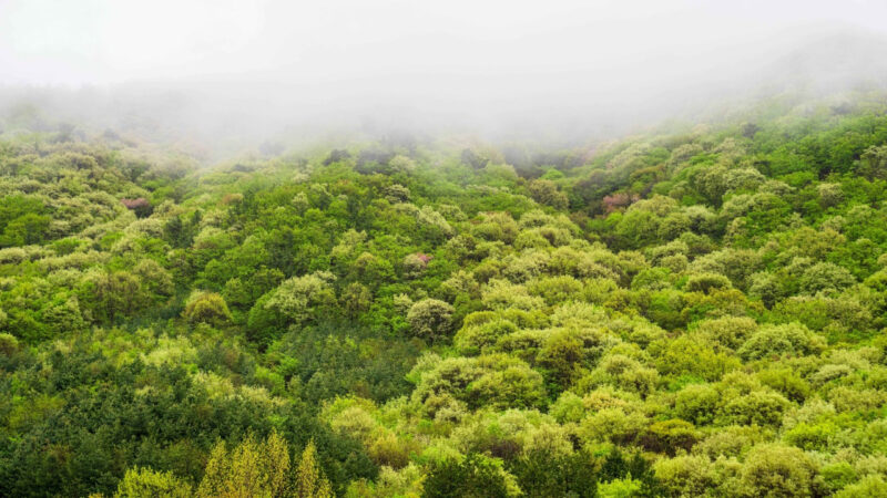 「お小遣いはすぐ消えるけど…親が一年中自慢する「母の日・父の日」最強ギフト」