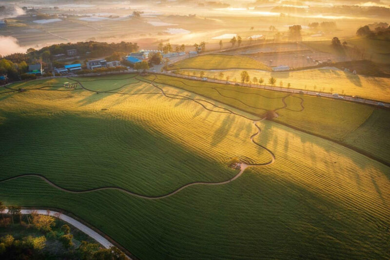「ヤン・グァンシクもここで定住するはず？」目と口が同時に癒やされる、全国の青麦グルメ名店