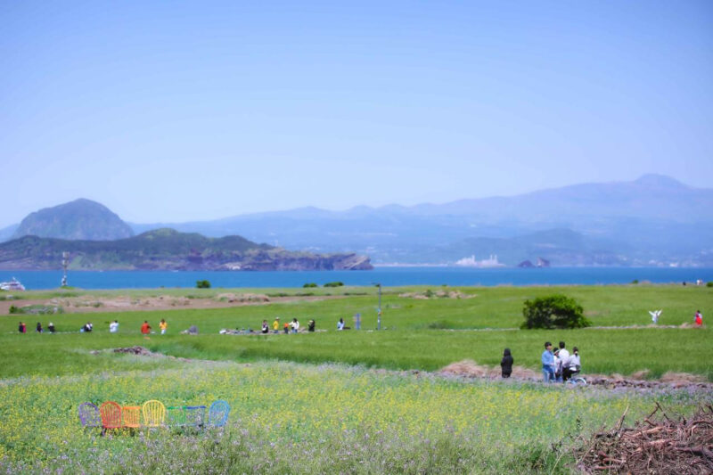 「ヤン・グァンシクもここで定住するはず？」目と口が同時に癒やされる、全国の青麦グルメ名店