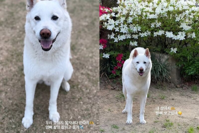 'キム・ウォンヒョ♥'シム・ジンファ、結婚15年目に突然韓国を離れる…「夫との初めてのパリ」