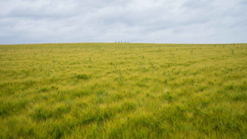 親孝行に最適！5月に訪れたい韓国のおすすめ旅行先はここ！