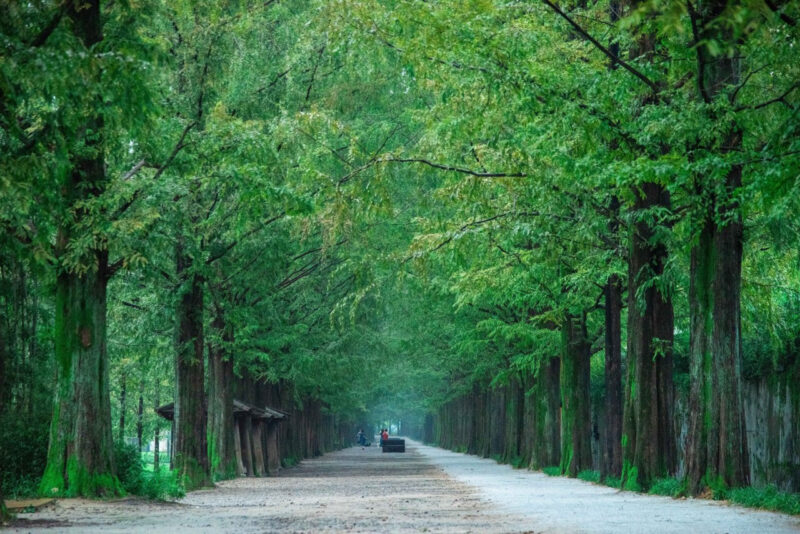 親孝行に最適！5月に訪れたい韓国のおすすめ旅行先はここ！