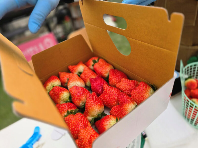 家族旅行に最適！5月に訪れたい、おすすめの国内旅行スポット厳選5選