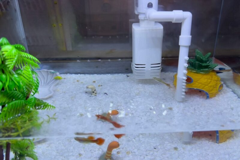 イ・ビョンホンの妻イ・ミンジョン、驚きの報告「8人家族になりました」