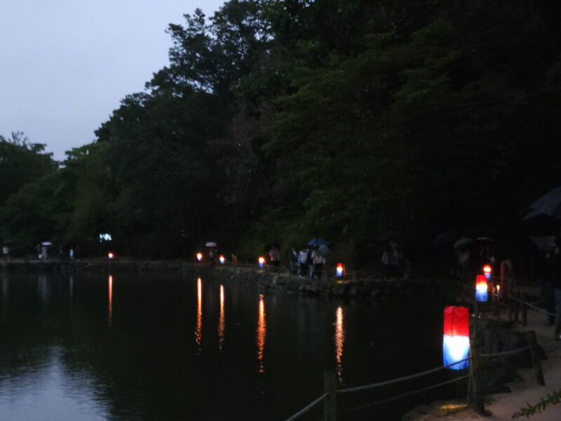 ソウルの宮殿で幻想的な夜景ショー、入場料わずか100円の絶景体験