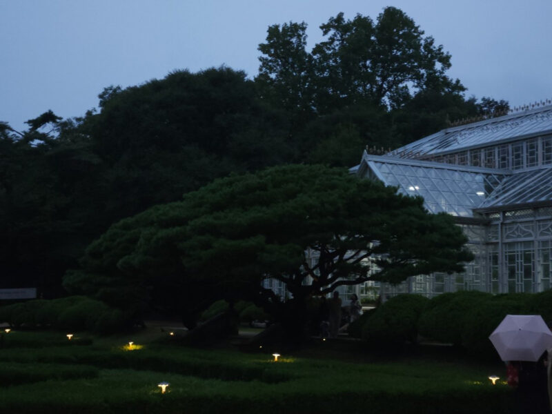 ソウルの宮殿で幻想的な夜景ショー、入場料わずか100円の絶景体験