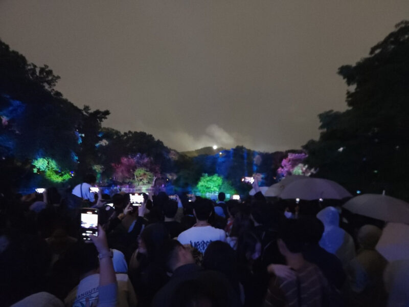 ソウルの宮殿で幻想的な夜景ショー、入場料わずか100円の絶景体験