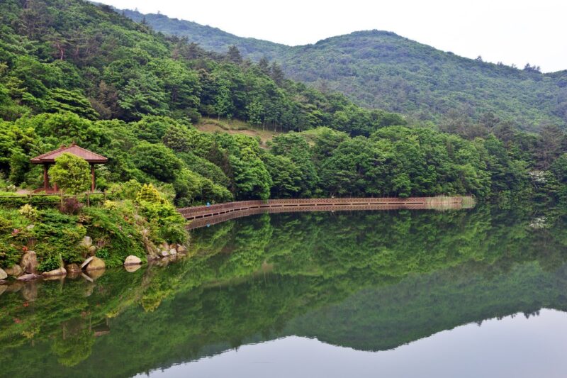 「怒りの韓国人、集合！」世界が注目する“K-ヒーリング”瞑想の聖地とは