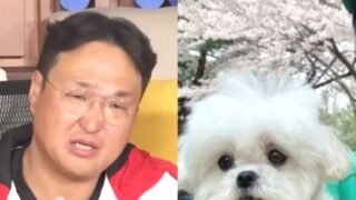 構成桓、『国土大長征』完走なるか…豪雨→膝の痛みに「花ブンア、後で会おう」と号泣（『私だけが山』）