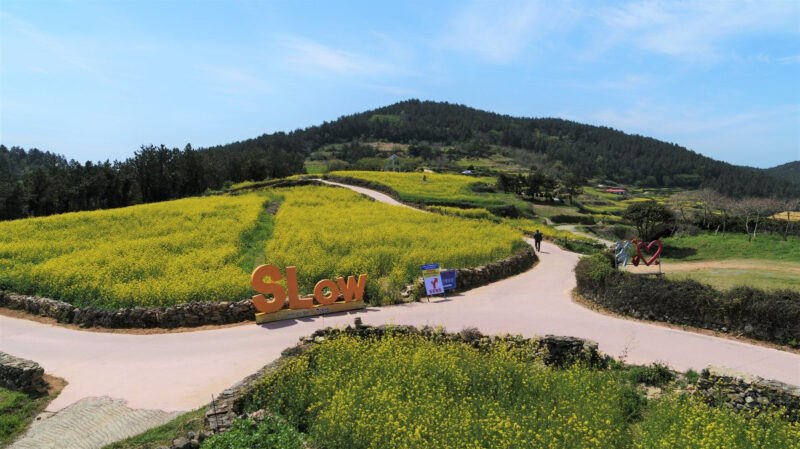 GWは家でゴロゴロ禁止！今すぐ行くべき絶景＆お出かけスポット5選