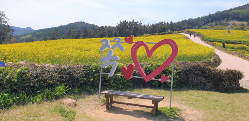 GWは家でゴロゴロ禁止！今すぐ行くべき絶景＆お出かけスポット5選