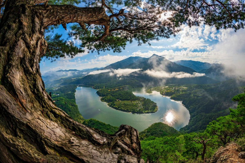 「税金の使い道として最高」人口減少地域への旅で交通費が全額戻ってくる裏ワザ