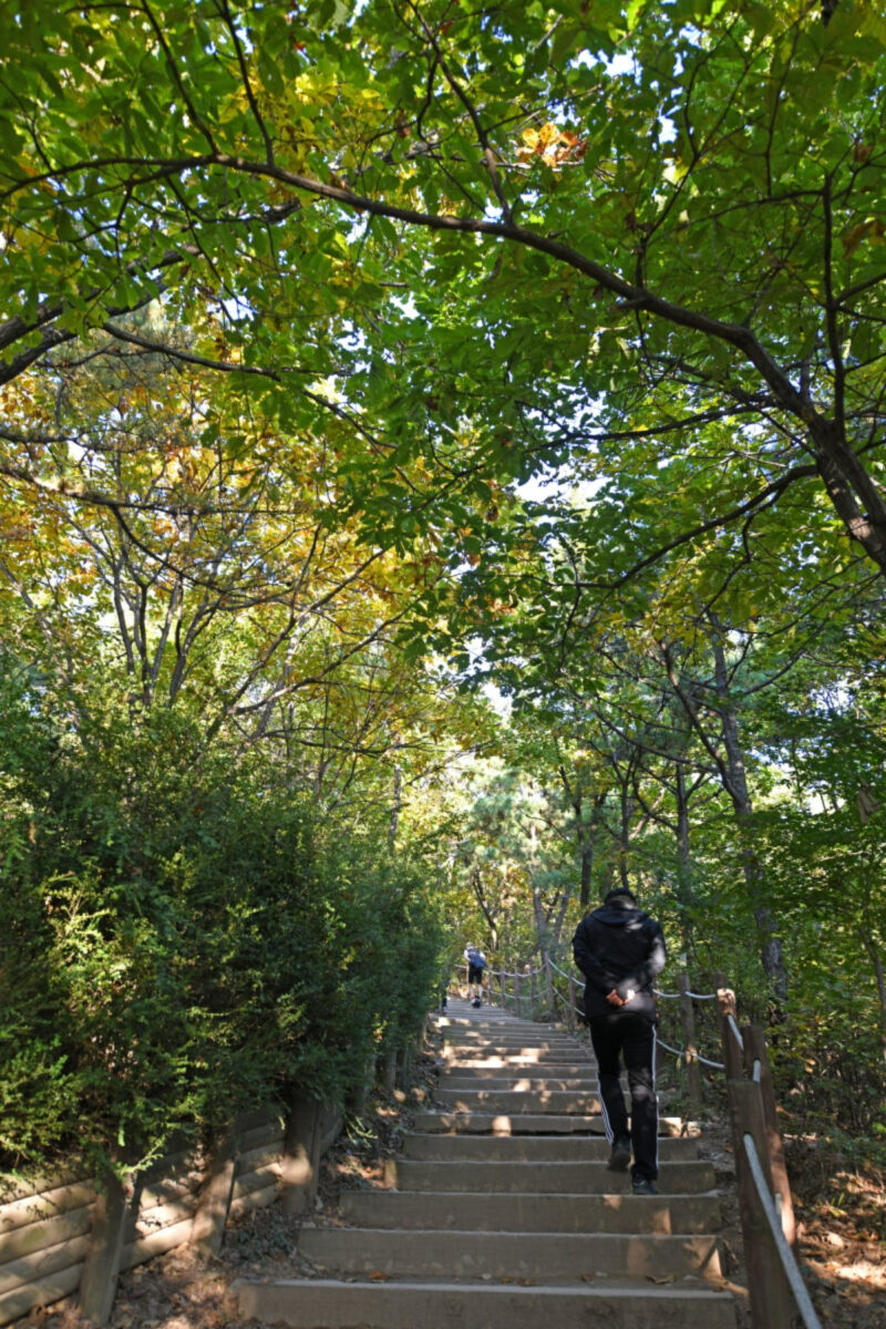 「サンダル一つでOK」仁川最高の登山コースはここ！