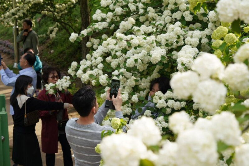 大統領の別荘が一般開放！記念イベントやモノレール体験も実施へ