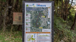 ランチタイムに会社員も殺到？「お腹いっぱいになれる山」の正体とは