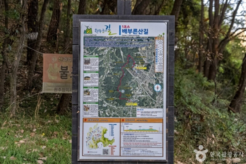 ランチタイムに会社員も殺到？「お腹いっぱいになれる山」の正体とは