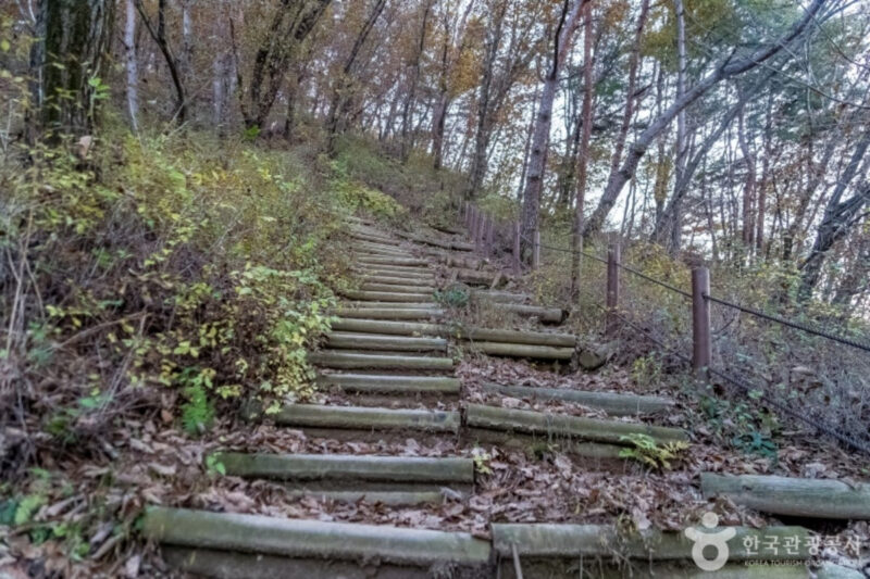 ランチタイムに会社員も殺到？「お腹いっぱいになれる山」の正体とは