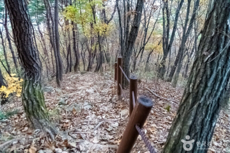 ランチタイムに会社員も殺到？「お腹いっぱいになれる山」の正体とは