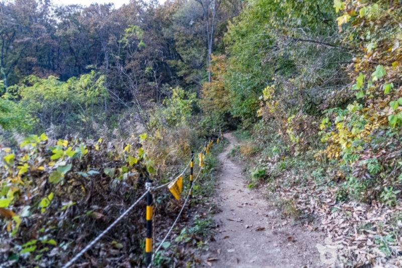 ランチタイムに会社員も殺到？「お腹いっぱいになれる山」の正体とは