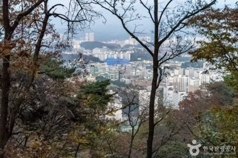 ランチタイムに会社員も殺到？「お腹いっぱいになれる山」の正体とは