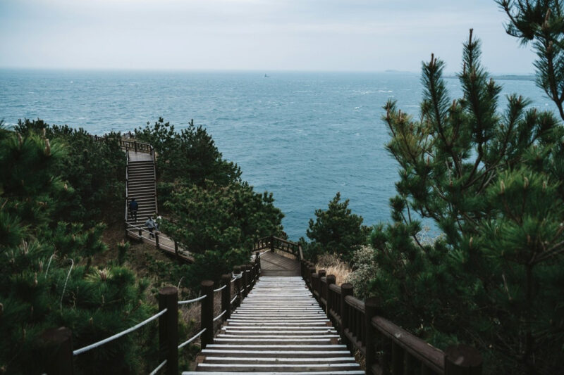 「油代も高いし…」修学旅行は国内へ　韓国で推奨の動き