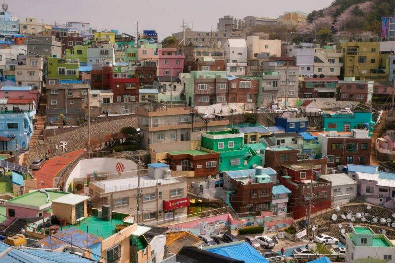 「油代も高いし…」修学旅行は国内へ　韓国で推奨の動き