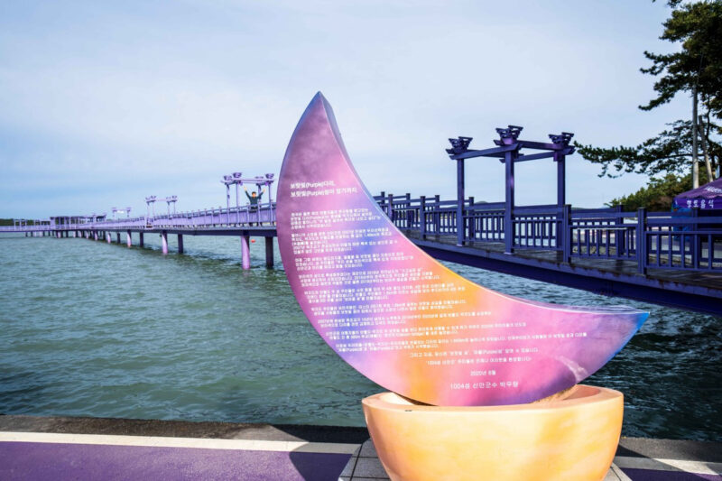 高齢化率50％の衝撃　消滅の危機に瀕する韓国の地方都市