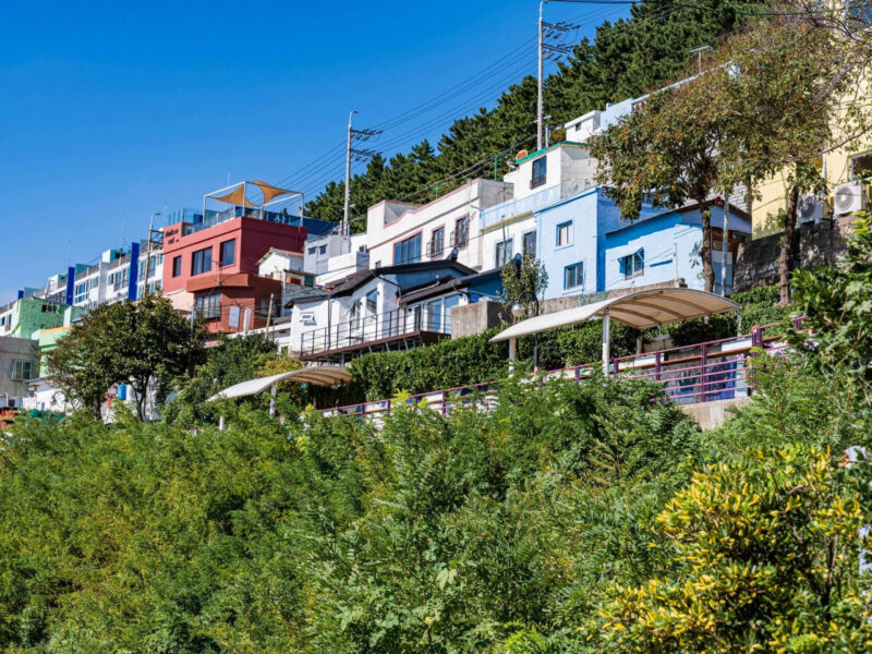 高齢化率50％の衝撃　消滅の危機に瀕する韓国の地方都市