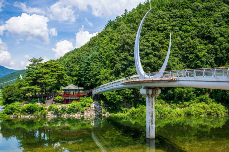 高齢化率50％の衝撃　消滅の危機に瀕する韓国の地方都市