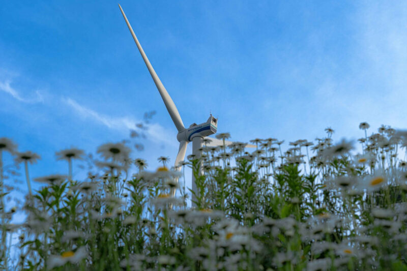 もうすぐ路上で目玉焼きが焼ける？猛暑到来を予感させる韓国の話題