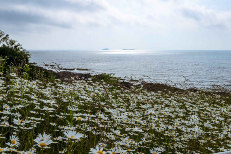 もうすぐ路上で目玉焼きが焼ける？猛暑到来を予感させる韓国の話題