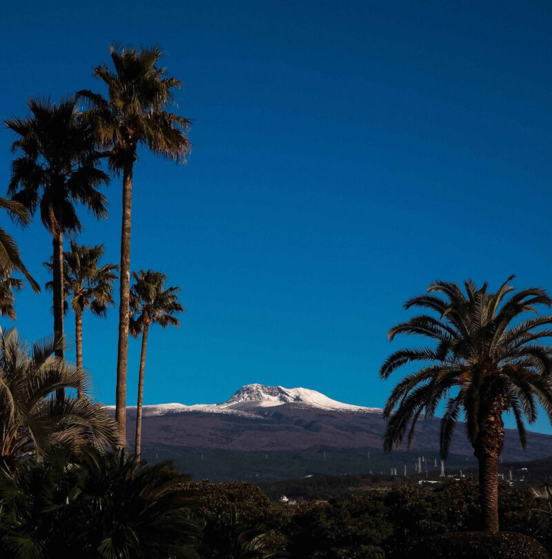 海外より釜山！この夏行きたい「最強の避暑地」が話題