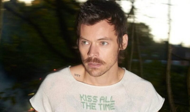 ハリー・スタイルズ、交際8ヶ月で婚約説浮上…歌手♥俳優のビッグカップル誕生か