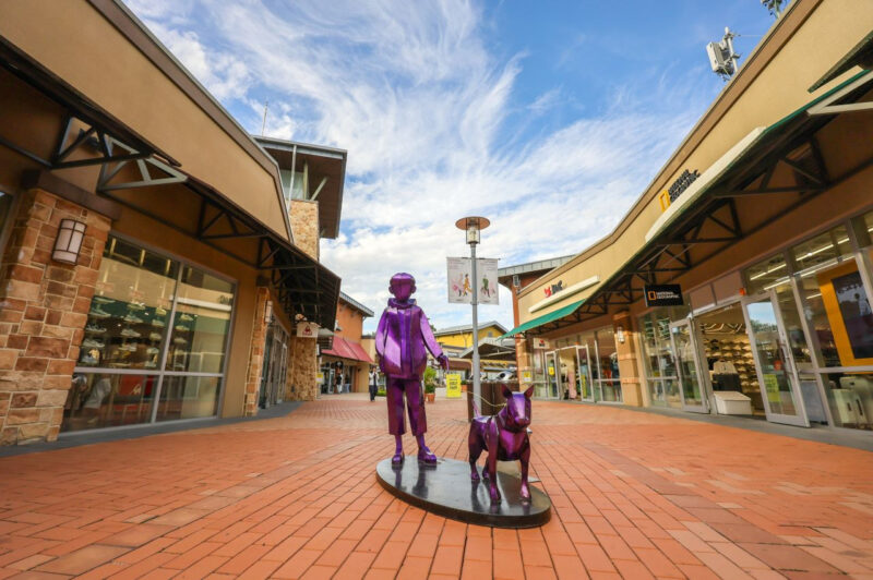 「お金さえあれば」ソウル近郊で軽飛行機体験も！ショッピングと自然を一度に楽しむ贅沢コース