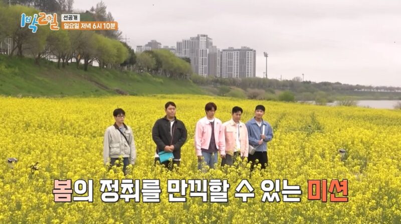 最高視聴率43.3%の実力！元メンバー復帰で変わらぬ話題性、18年続く長寿番組『1泊2日』