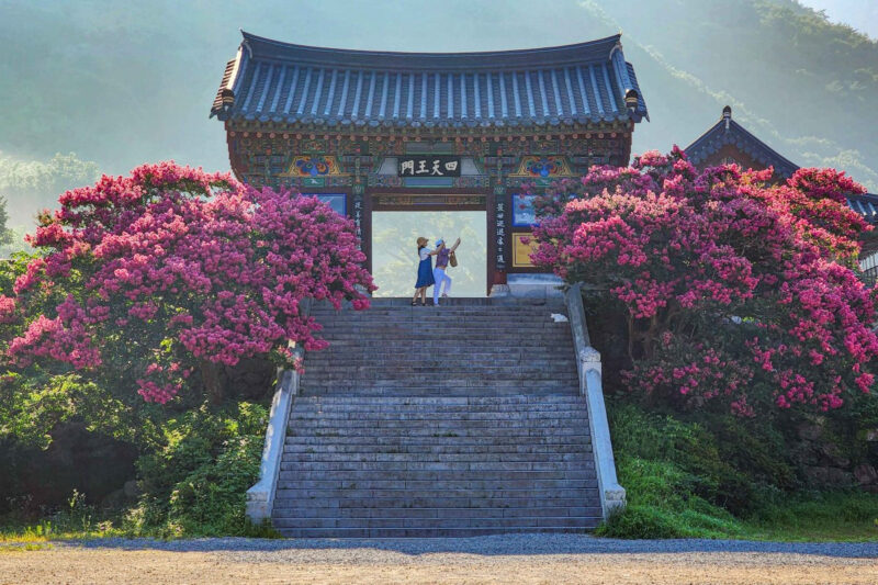 親も納得、子供は大興奮！家族で楽しむ「密陽（ミリャン）」満喫ルート