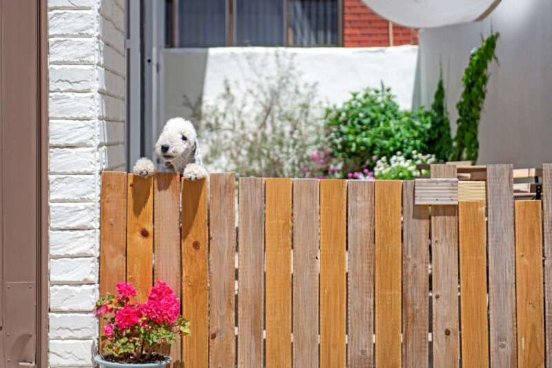 「私だけ知りたい」海雲台・広安里より満足度が高い、穴場の釜山旅行先