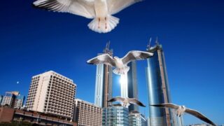 猛暑33度超えの夏を乗り切る！国内最高のおすすめ避暑地・旅行先を厳選
