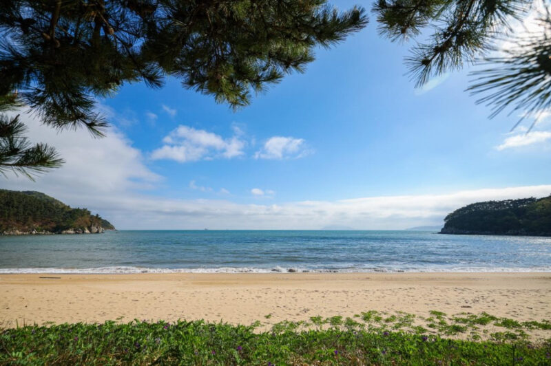 「仁川にこんな島が？」110分で行ける“西海のモルディブ”が話題