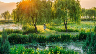 「ソウルより最高」初夏の慶尚道（キョンサンド）旅が想像以上の満足度！