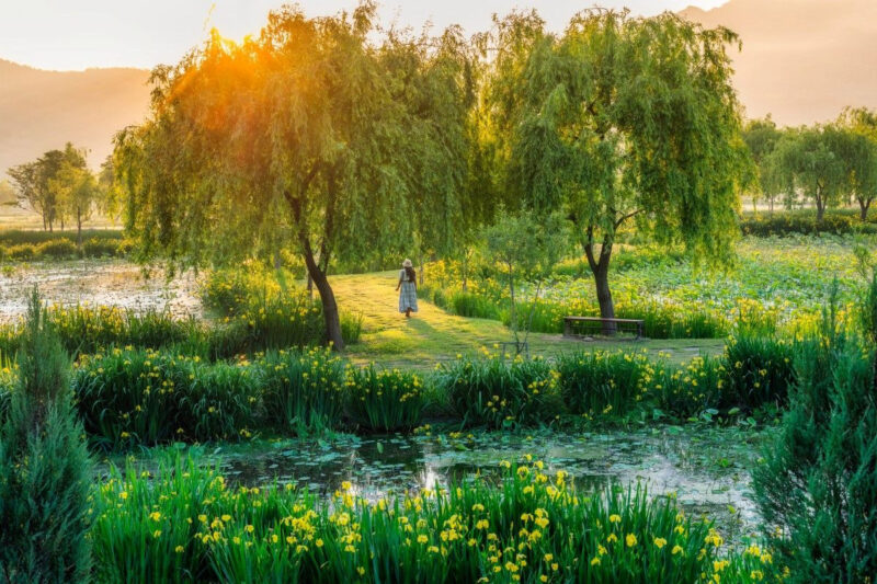 「ソウルより最高」初夏の慶尚道（キョンサンド）旅が想像以上の満足度！